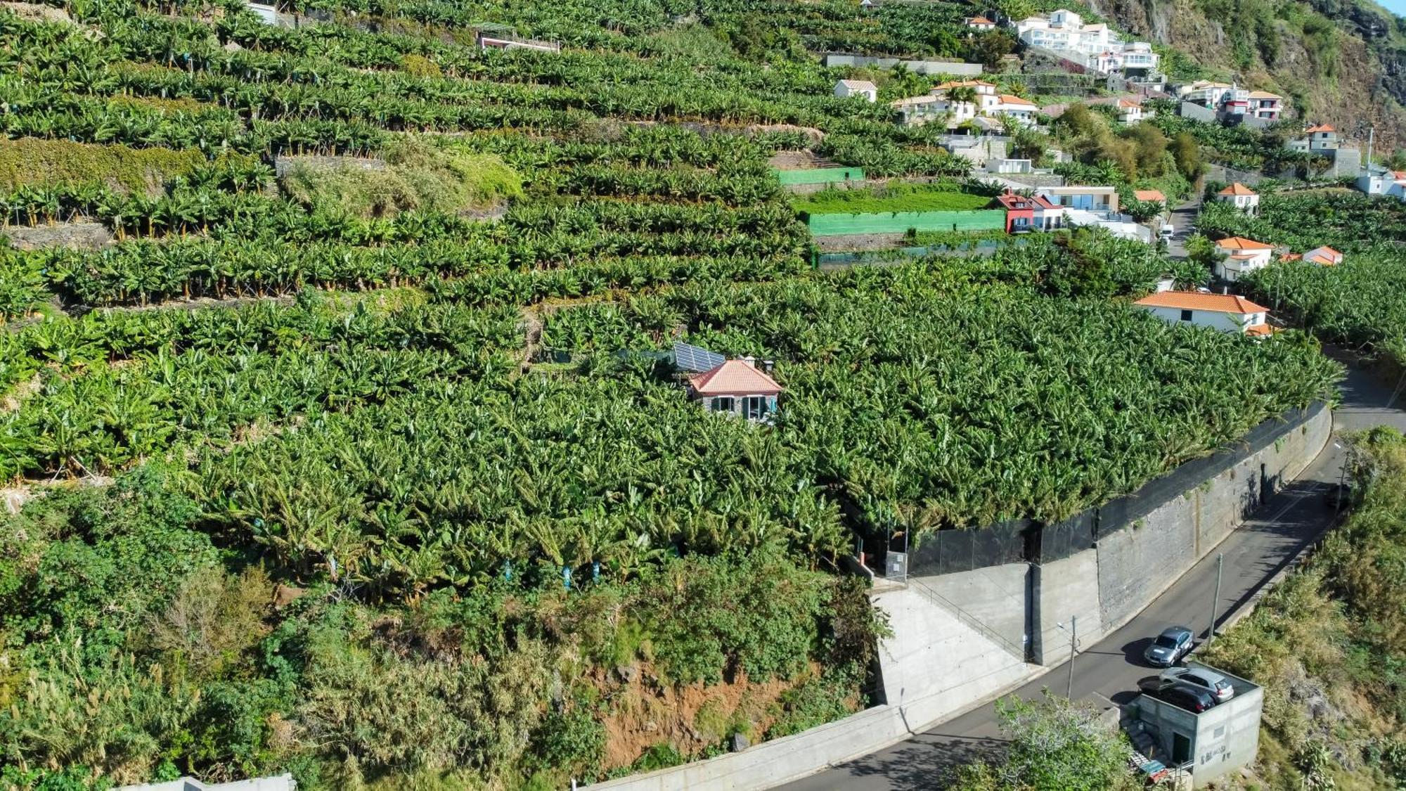 Casa Dos Anjos Villa Ponta do Sol  Exterior foto