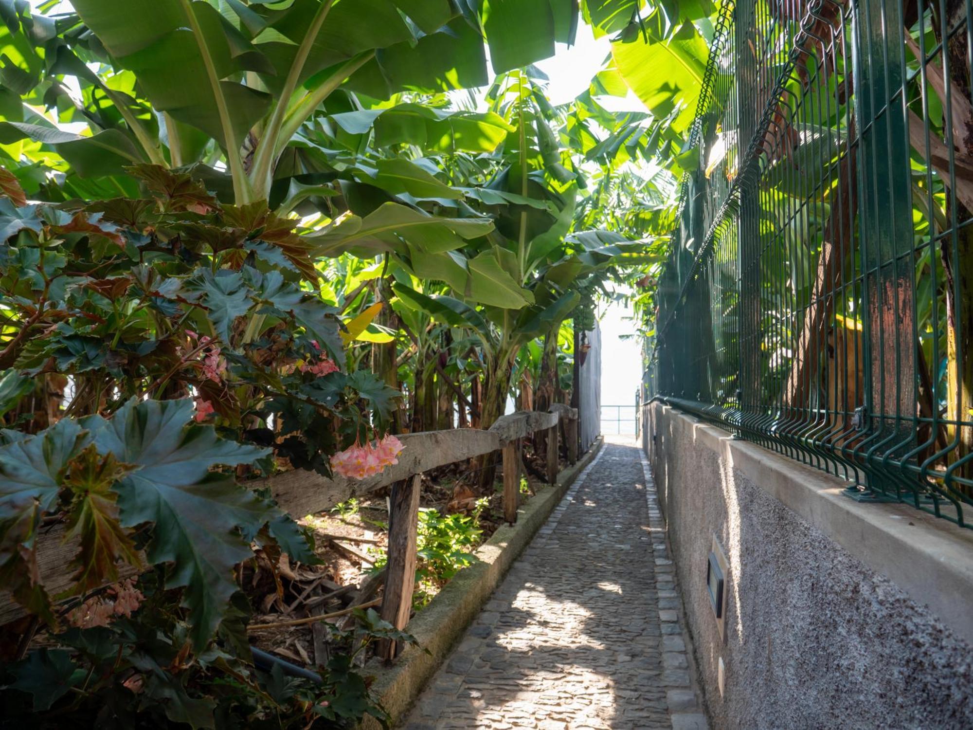 Casa Dos Anjos Villa Ponta do Sol  Exterior foto